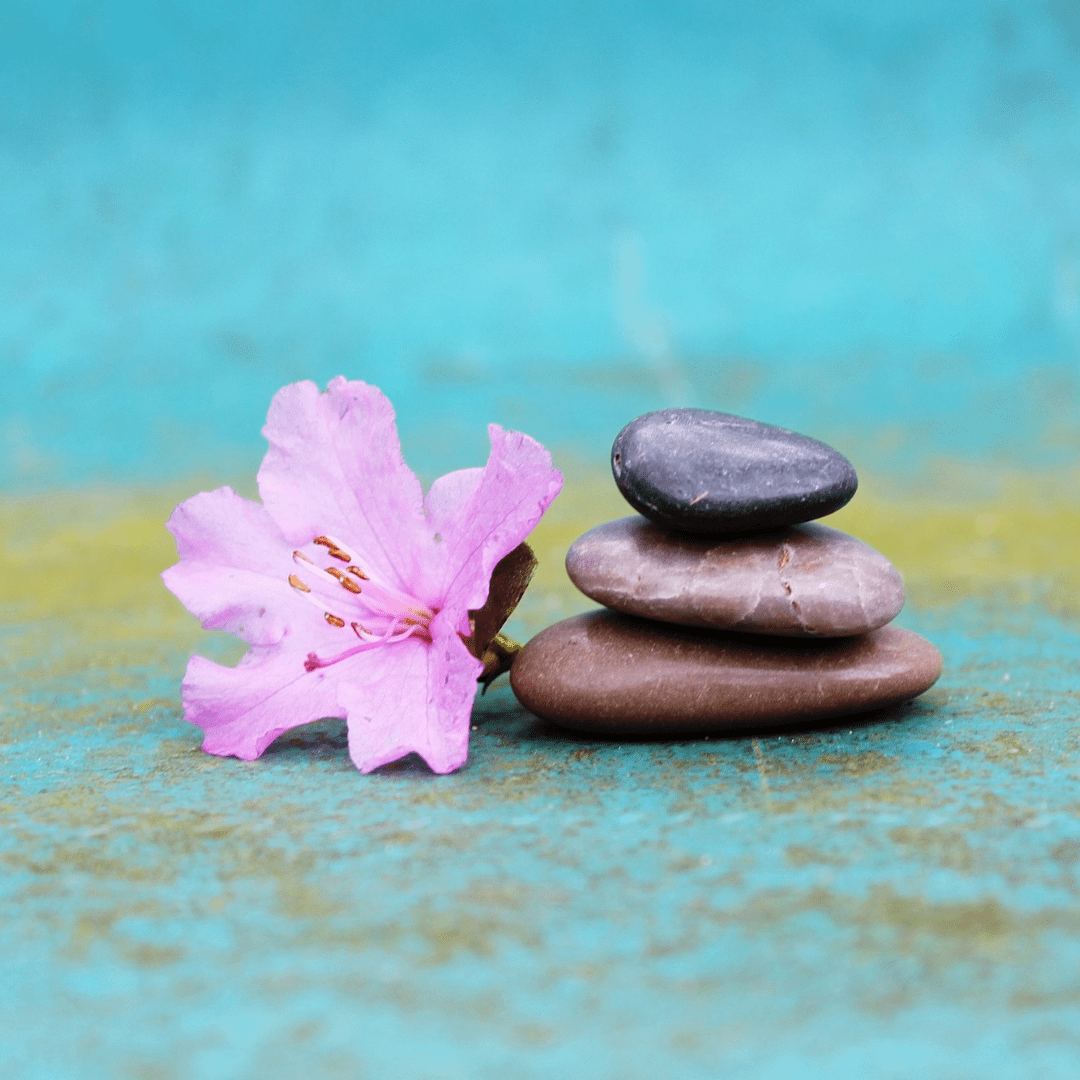 Choosing The Best Mindfulness Course For You